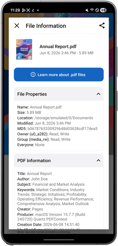Android File Viewer - File Information