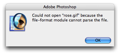 Could Not Open the File