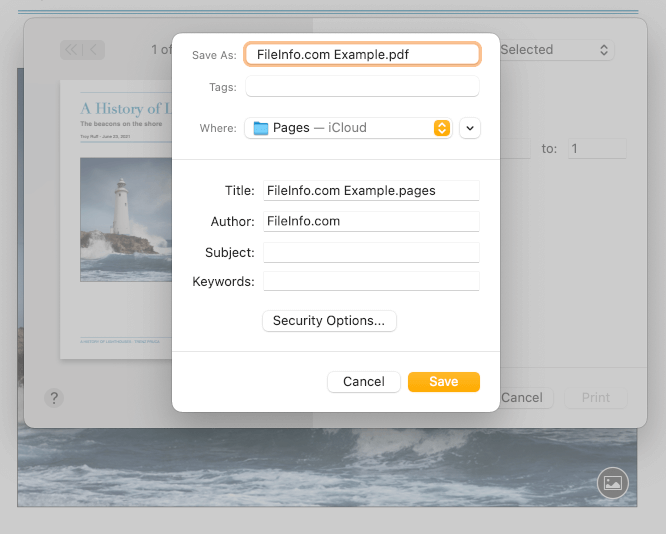 Screenshot of Pages' Save as PDF dialog box