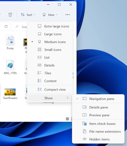 Screenshot of the File Explorer View dropdown menu with the option deselected