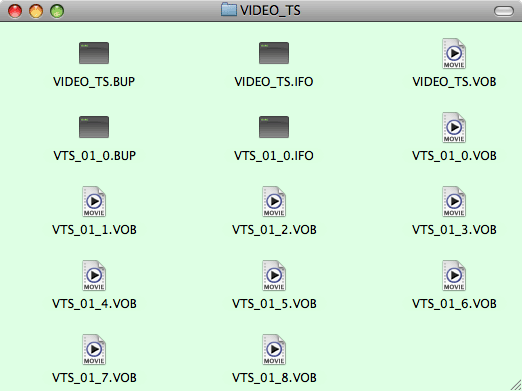 What is the purpose of the VIDEO TS folder on my DVD