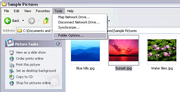 Windows Folder Options