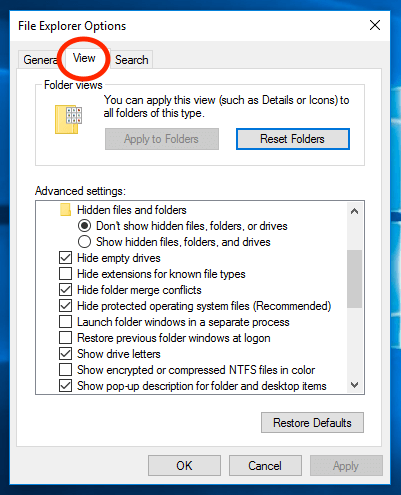Windows 10 File Explorer View Options