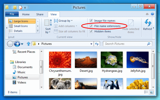 Windows 8 show or hide file name extensions