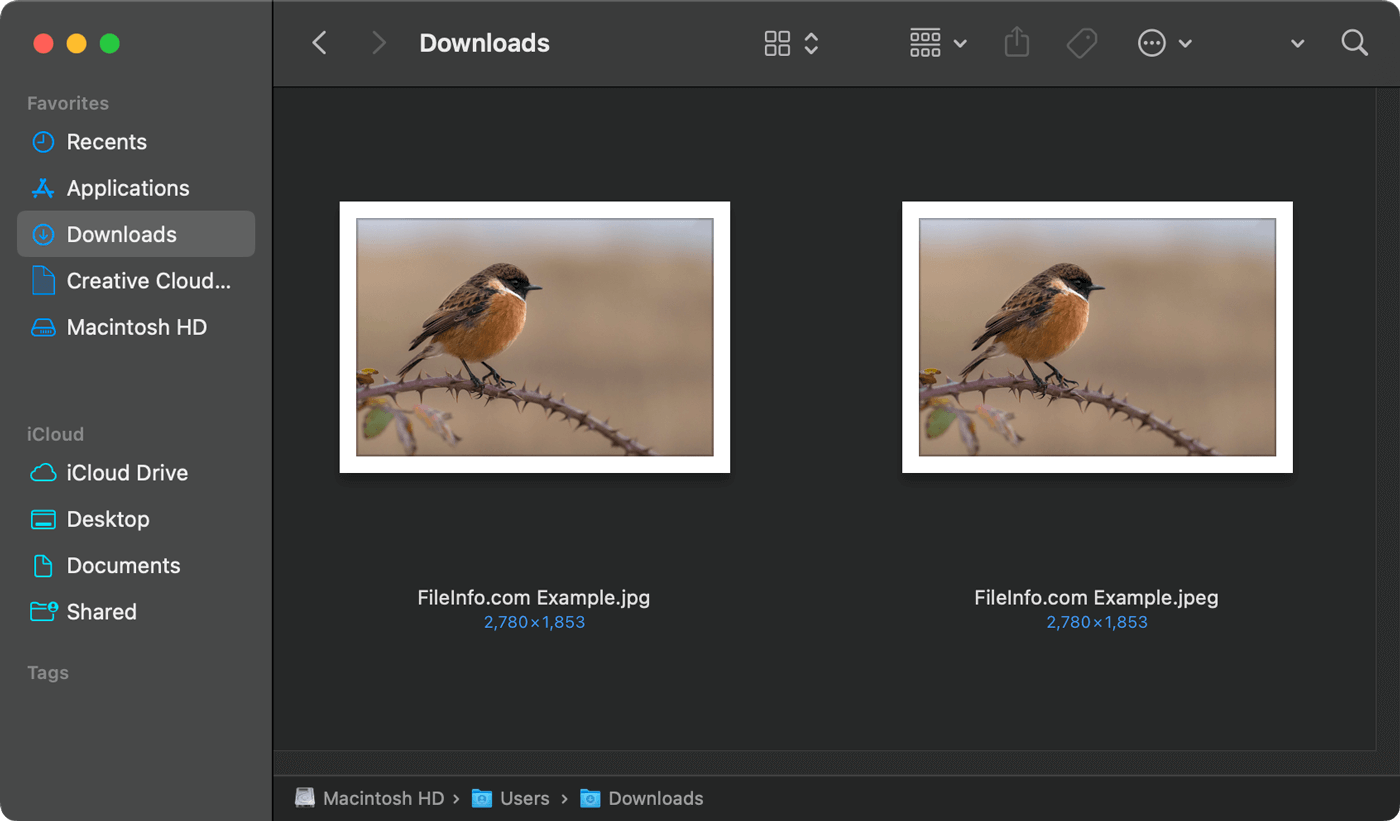 Why do some file types use both three and fourletter extensions?