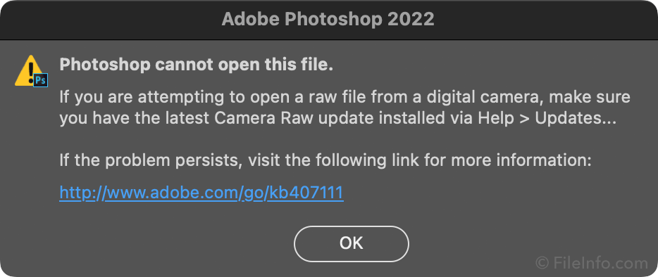 why-can-t-i-open-my-camera-raw-file