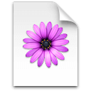 First file icon