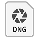 dng icon