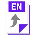 ENS icon