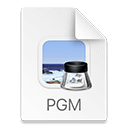 How To Open Pgm File