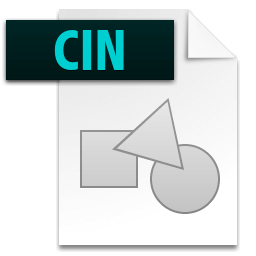 .cin Icon