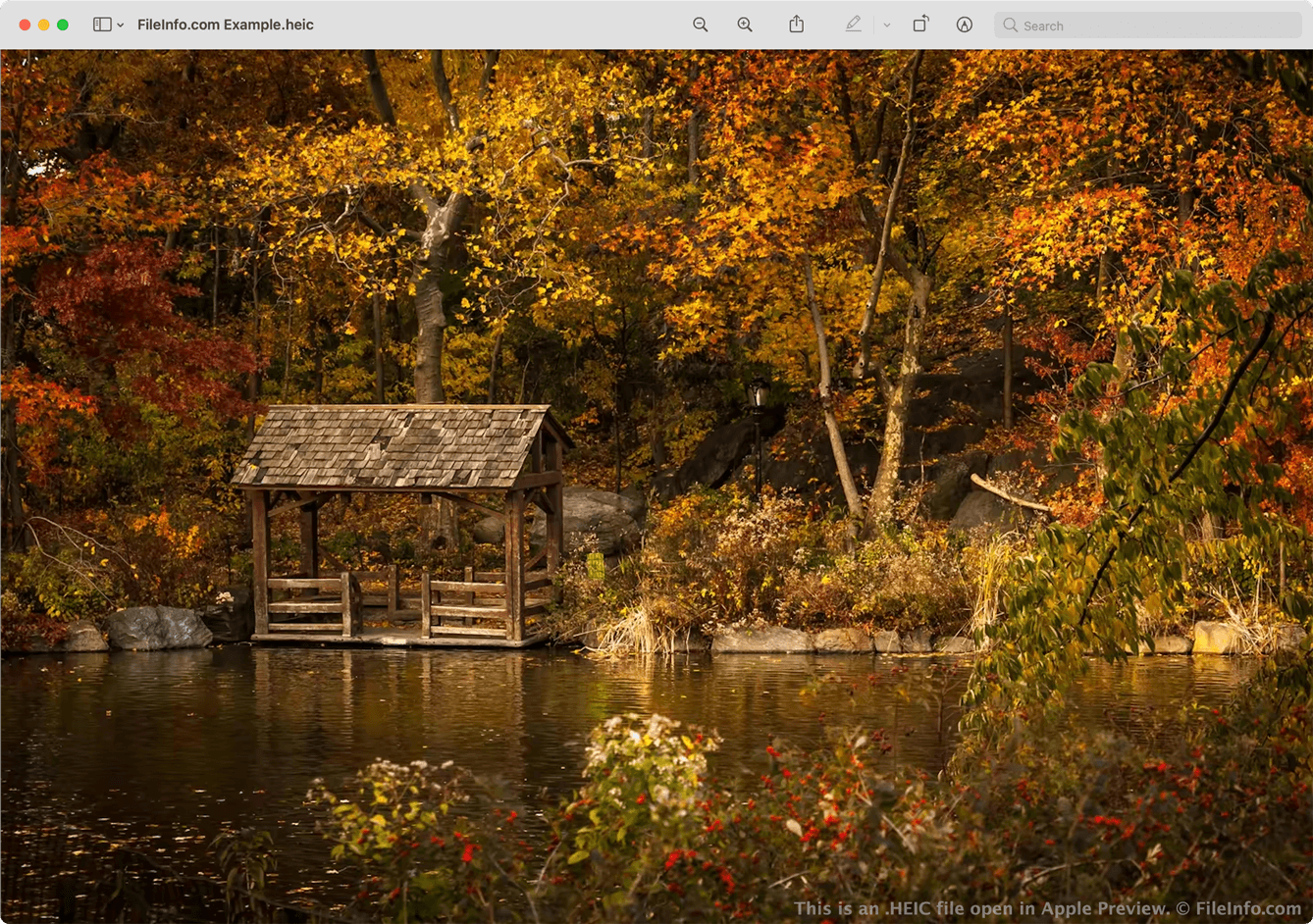 Heic изображение. Heis Формат фото. Формат фото hiec.