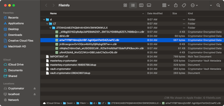 C9R File - What is a .c9r file and how do I open it?