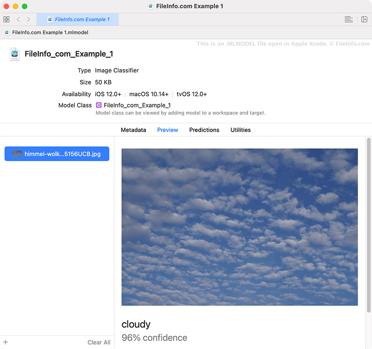 ml model file extension