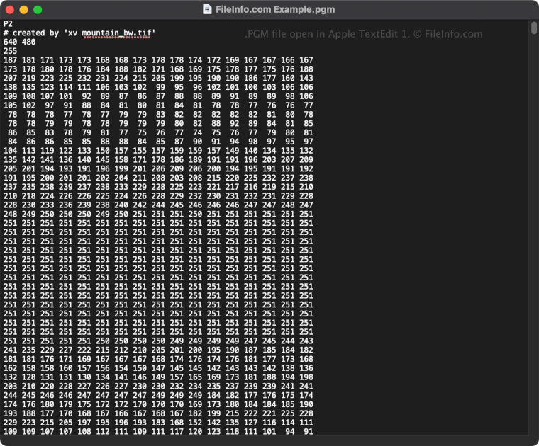 PGM File - What is a .pgm file and how do I open it?