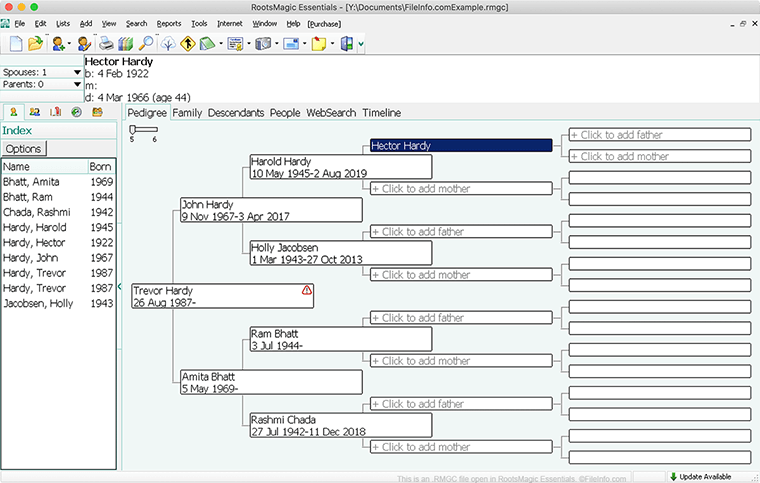 RMGC File - What is an .rmgc file and how do I open it?