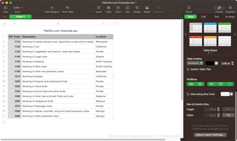 SSV File - What is an .ssv file and how do I open it?