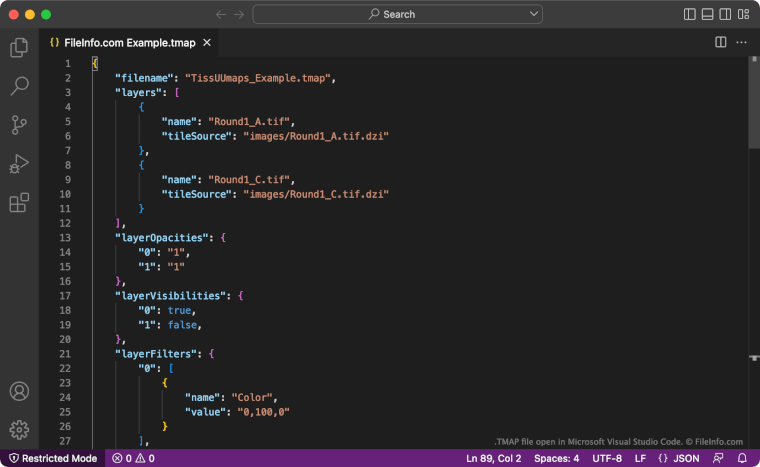 TMAP File - What is a .tmap file and how do I open it?