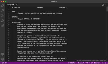 Screenshot of a .1 file in Microsoft Visual Studio Code