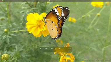 Screenshot of a .3gp file in Apple QuickTime Player 10.5