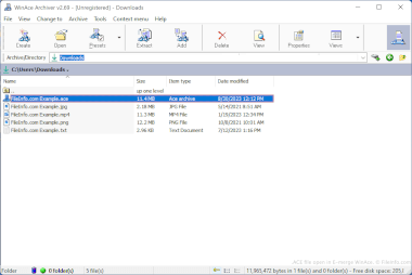Screenshot of a .ace file in E-merge WinAce