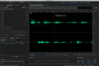 Screenshot of a .aif file in Adobe Audition 2021