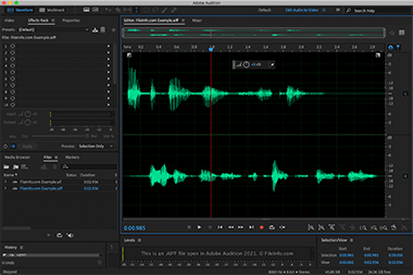 Screenshot of a .aiff file in Adobe Audition 2021