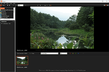 Screenshot of a .arw file in Sony Imaging Edge Desktop 3.1