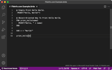 Screenshot of a .birds file in Microsoft Visual Studio Code