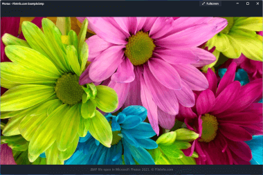 Screenshot of a .bmp file in Microsoft Photos 2021