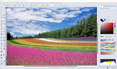 Screenshot of a .cd5 file in Chasys Photo 5