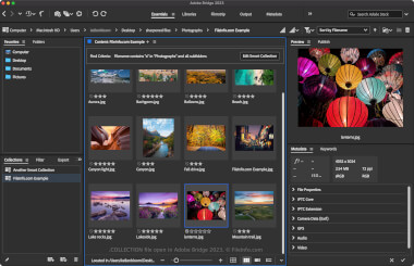 Screenshot of a .collection file in Adobe Bridge 2023