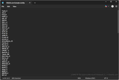 Screenshot of a .coreftp file in Microsoft Notepad 11