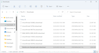 CRDOWNLOAD files in Microsoft File Explorer