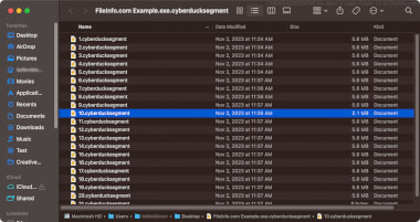 Screenshot of a .cyberducksegment file in Apple Finder 13