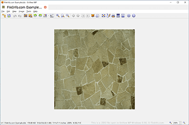 Screenshot of a .dds file in XnViewMP 0.98
