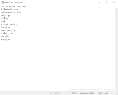 Screenshot of a .dic file in Microsoft Notepad 2004