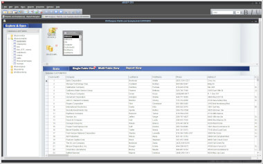 Screenshot of a .dmd file in dBASE 2019