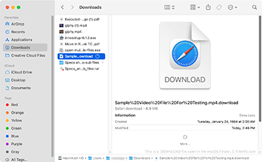Screenshot of a .download file in macOS Finder