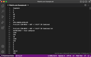 Screenshot of a .eld file in Microsoft Visual Studio Code