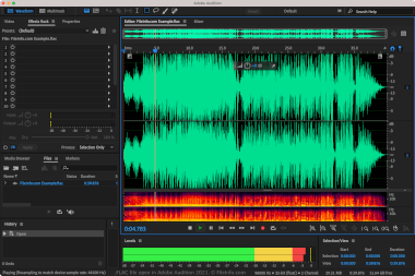 Screenshot of a .flac file in Adobe Audition 2021