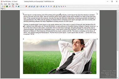 Screenshot of a .fpe file in Free PDF Editor