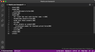 Screenshot of a .ftl file in Microsoft Visual Studio Code