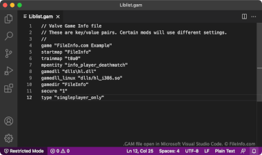Screenshot of a .gam file in Microsoft Visual Studio Code