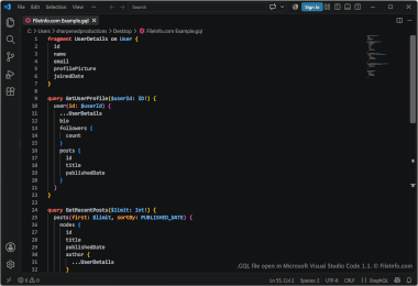 Screenshot of a .gql file in Microsoft Visual Studio Code 1.1
