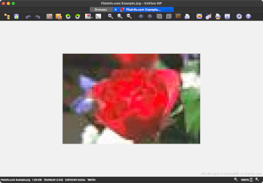 Screenshot of a .jng file in XnViewMP