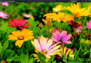 Screenshot of a .jpeg file in Microsoft Photos 2021