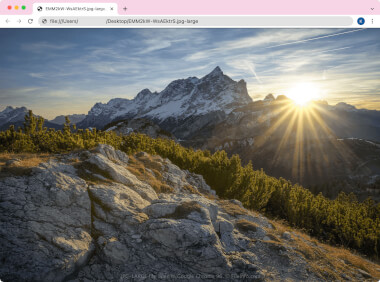 Screenshot of a .jpg-large file in Google Chrome 96