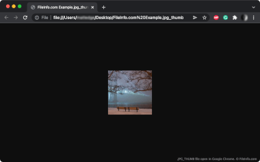 Screenshot of a .jpg_thumb file in Google Chrome