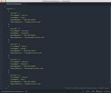 Screenshot of a .json file in GitHub Atom